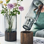 Vase en verre rétro – avec plante